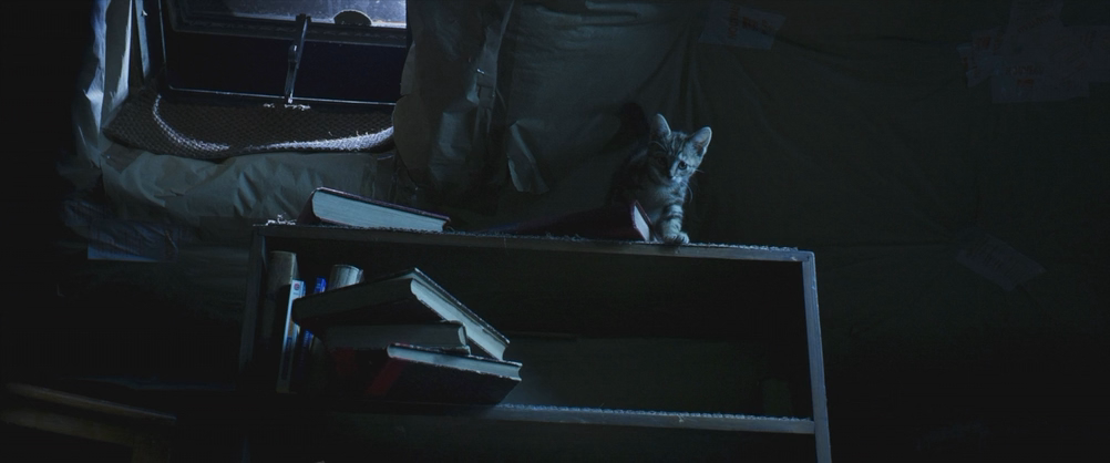 Мой котик и я (2023) BDRip-AVC_ivanes.mkv_20250207_150426.701.png