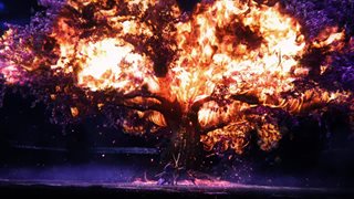 Rise of the Ronin [v 1.09.0.4 Hoftfix build 18219088 + DLC] (2025) PC | Repack by Wanterlude