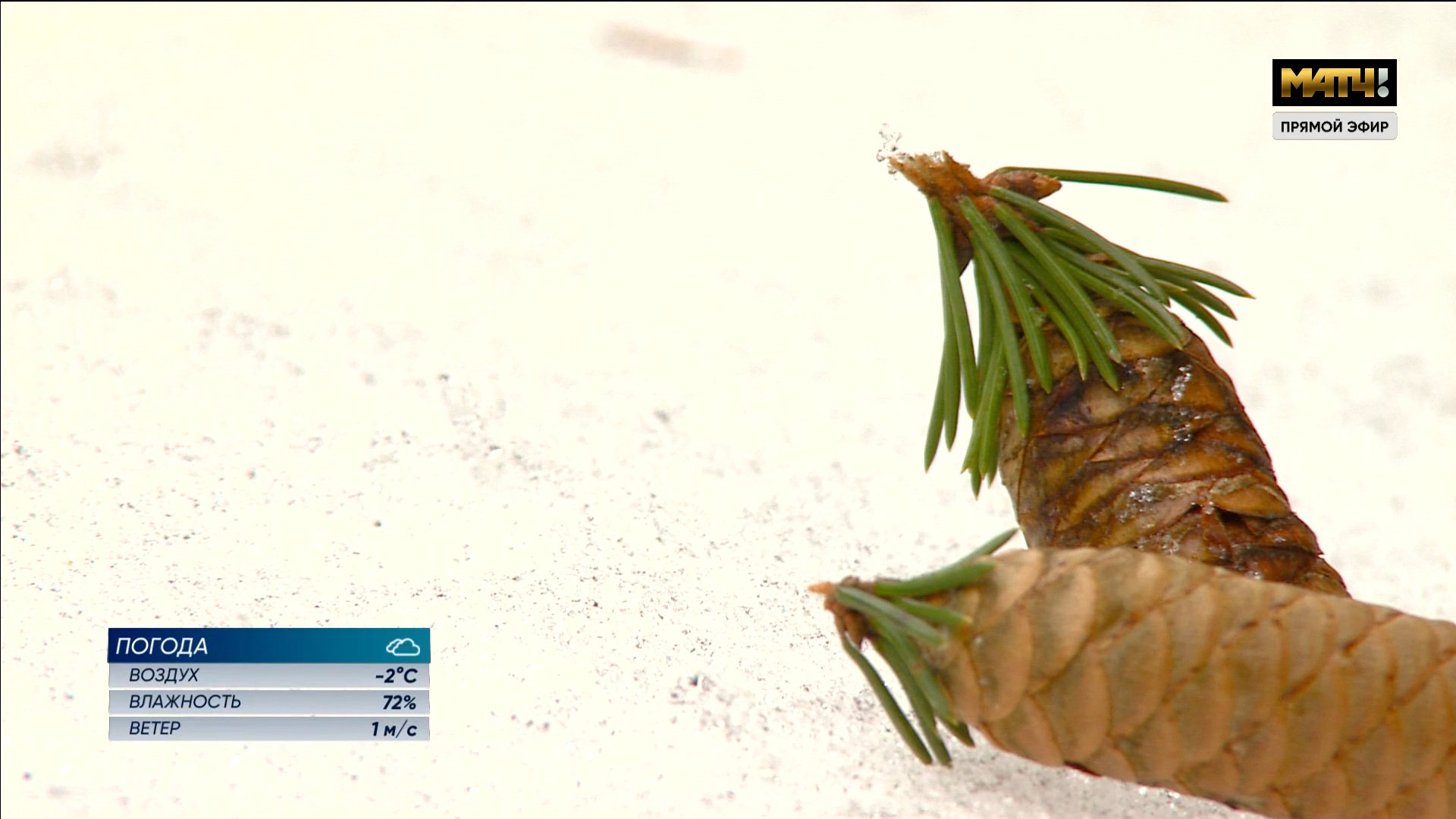 cap_ch308_1742365200_10800 (02)_00_01_14_02.jpg