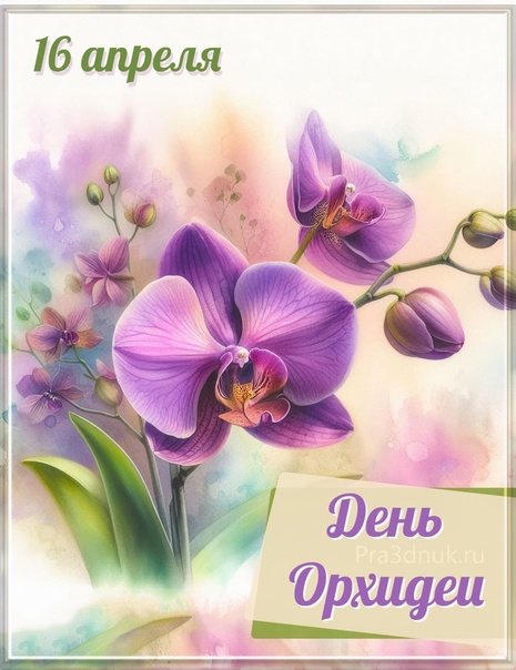 https://i3.imageban.ru/out/2025/04/16/c36bda09134a8ba186c9557747b359f6.jpeg
