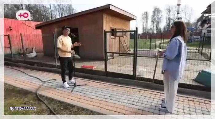 https://i3.imageban.ru/out/2025/04/26/f08fc0026a52c393b228f3df866f293d.jpg