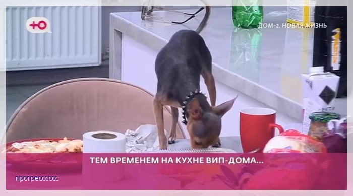 https://i3.imageban.ru/out/2025/05/05/b6a4c5bd4438203cc350bc571a89c09c.jpg