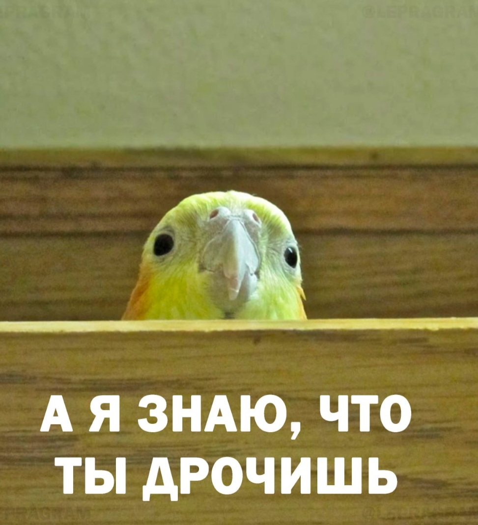 Screenshot_20250507_115205_Samsung Internet.jpg