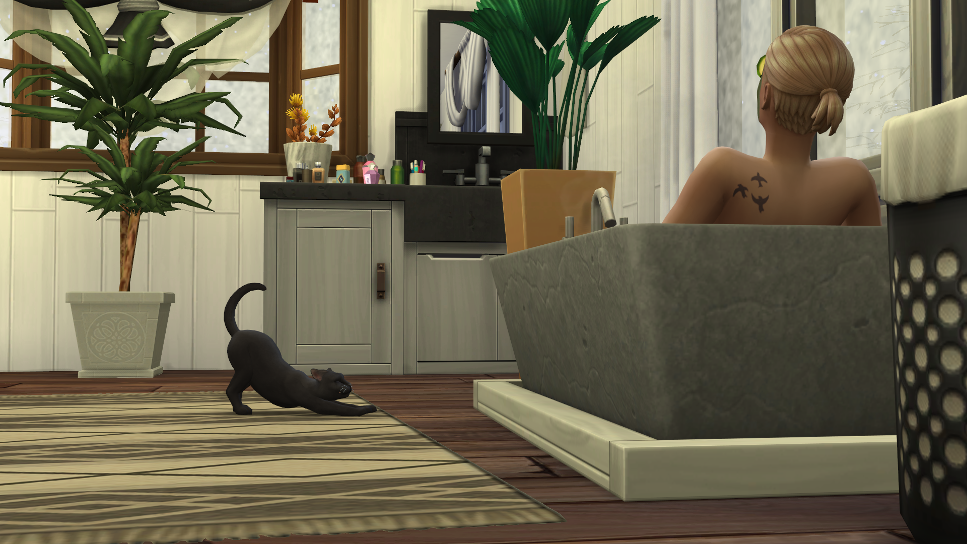 3d0060cc0c1012ceebaef7b8ebd46f61.png
