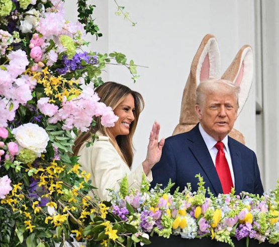 https://i3.imageban.ru/out/2025/05/20/e73e925e197034228b33afbcb58f596e.jpg