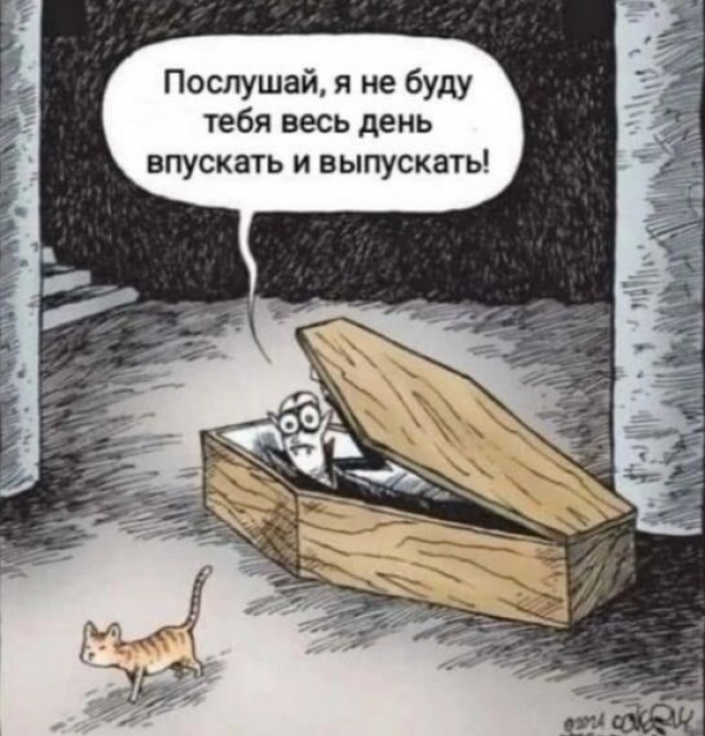 изображение_2025-05-21_154308161.png