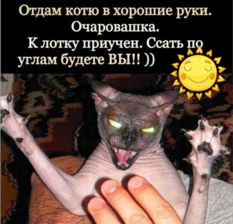 изображение_2025-06-03_172152745.png