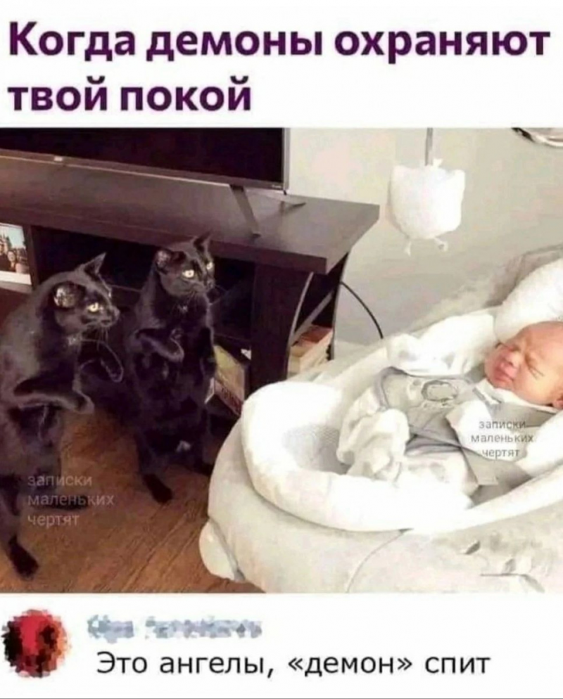 изображение_2025-06-06_151431033.png