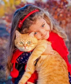 https://i3.imageban.ru/out/2025/06/07/c7176613dd89060bbcd4866000920186.webp