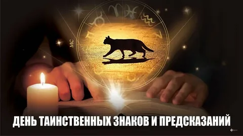 https://i3.imageban.ru/out/2025/06/08/ea89feb604b8607c7bd273ba562bfa9e.webp