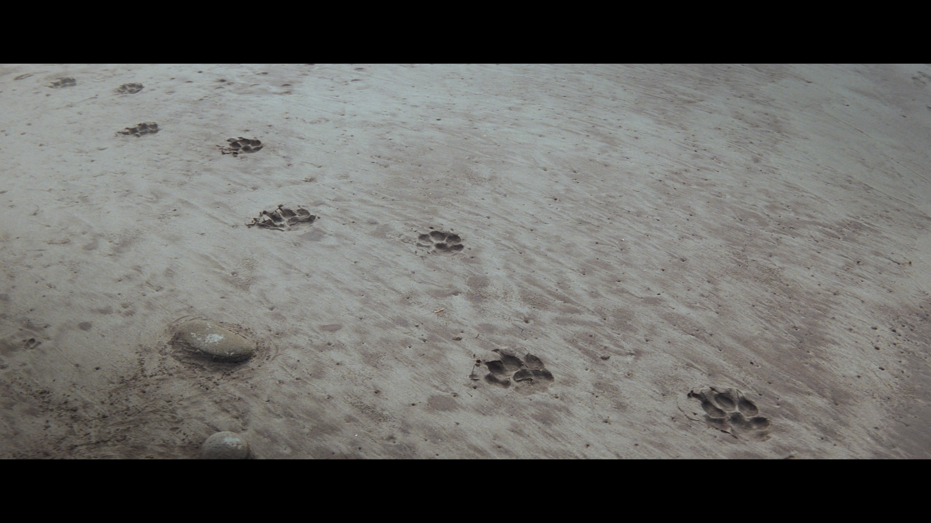 The.Neverending.Story.1984.Imprint.BDRemux.1080p.US.International.Cut[(097634)2025-06-08-13-43-25].PNG