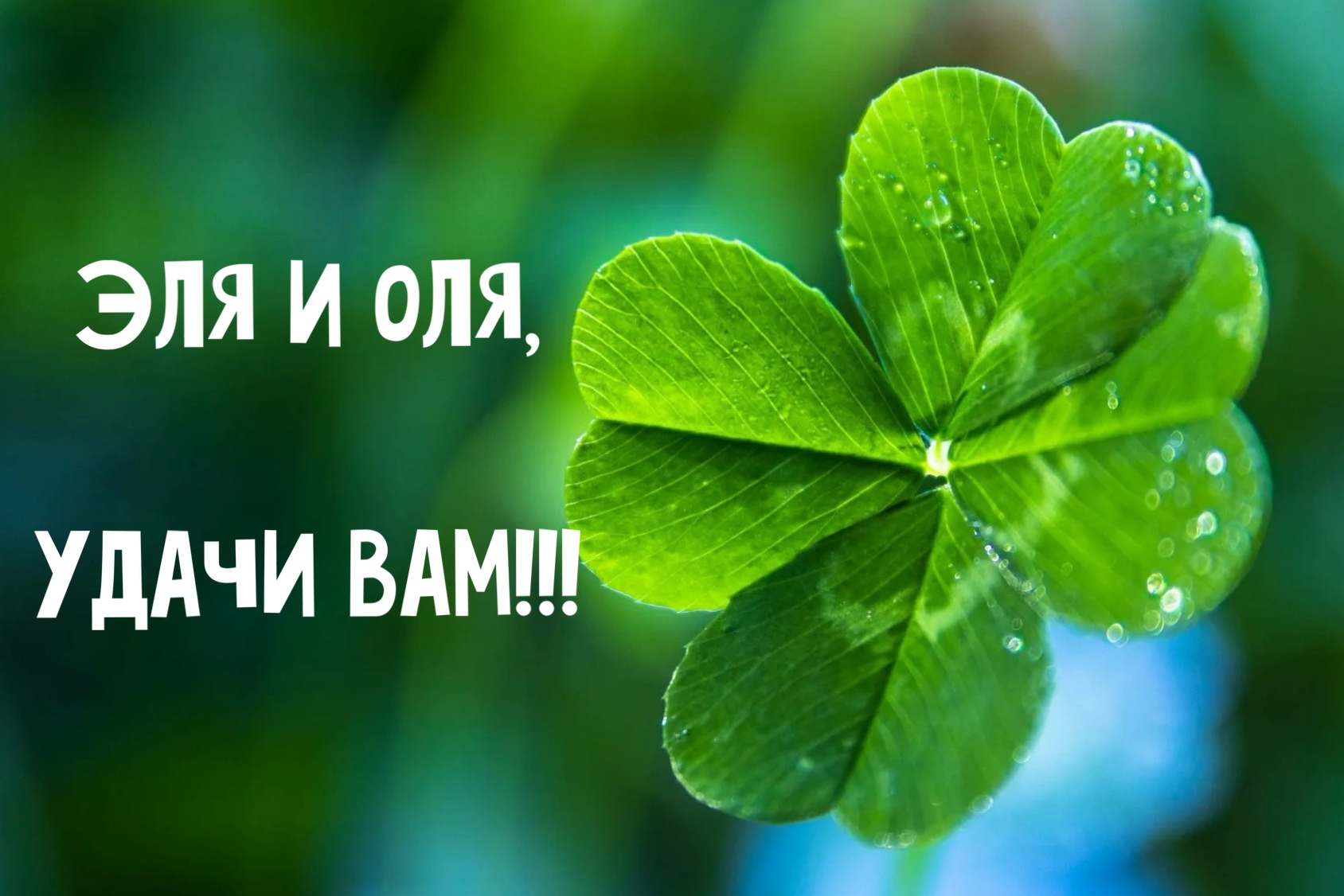 https://i3.imageban.ru/out/2025/06/21/7228d07e0e386bb04e8ae4693752ef4a.jpeg