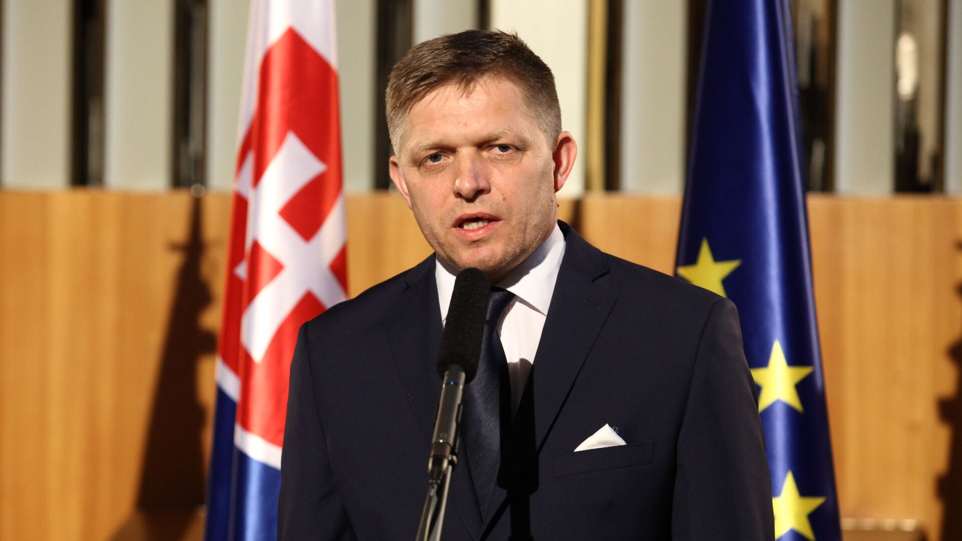 Фицо заявил о невозможности Словакии наложить вето на запрет энергосырья РФ