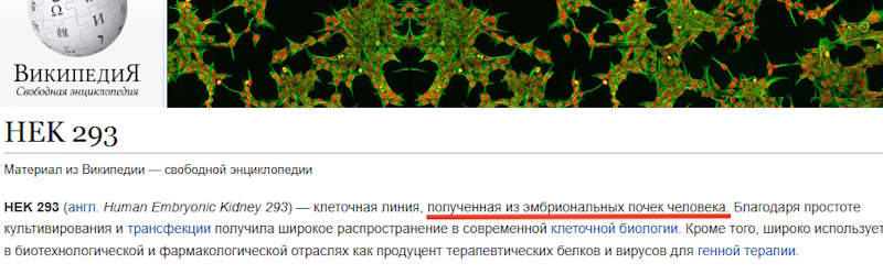 https://i3.imageban.ru/out/2025/07/20/14adaa860fa64534893e697cf5531266.jpg