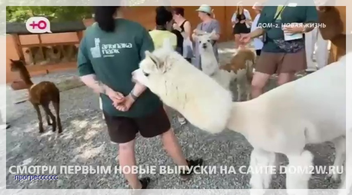 https://i3.imageban.ru/out/2025/07/26/24368639cf7c3386b881de07c054d4d7.jpg