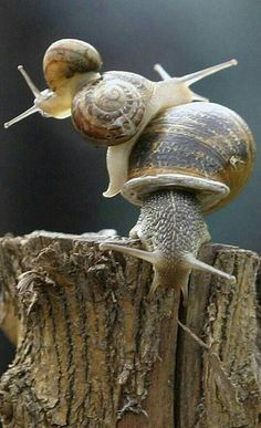 https://i3.imageban.ru/out/2025/08/17/07ce12fea13382f3e75089ecc703293b.jpg