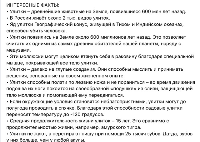 https://i3.imageban.ru/out/2025/08/17/96724e8ed7c759d6fe08a9ae80db505c.jpeg