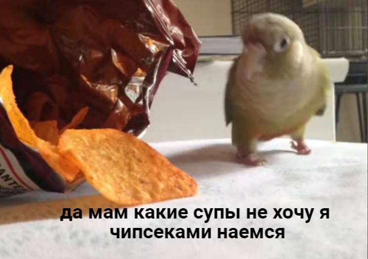 https://i3.imageban.ru/out/2025/08/24/f4ad7ee6246997eb01fa7a9170a583aa.jpeg