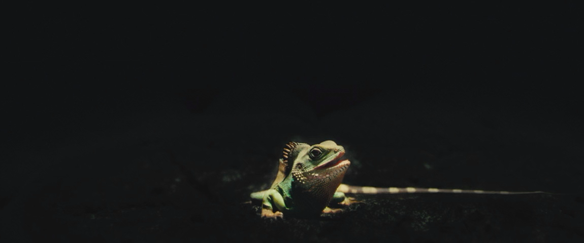 Чистильщик бассейнов (2023) HDRip-AVC_ivanes.mkv_20250825_161413.310.png