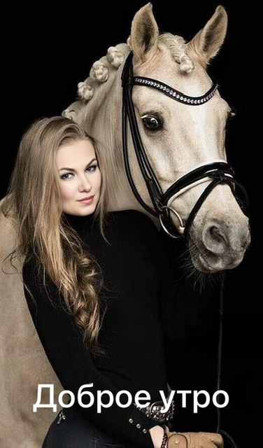 https://i3.imageban.ru/out/2025/08/31/f6f58877763d8205753be34342e71d1d.jpeg
