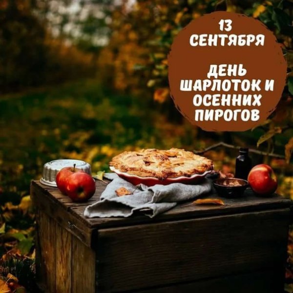 https://i3.imageban.ru/out/2025/09/13/eba32d21baff6d6b0078f9dd752ff1d8.jpeg