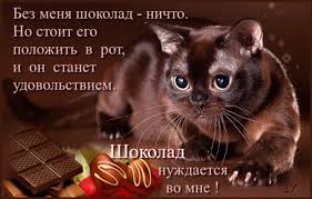 https://i3.imageban.ru/out/2025/09/13/f9e81312a278bb57e3830540c702627a.jpeg