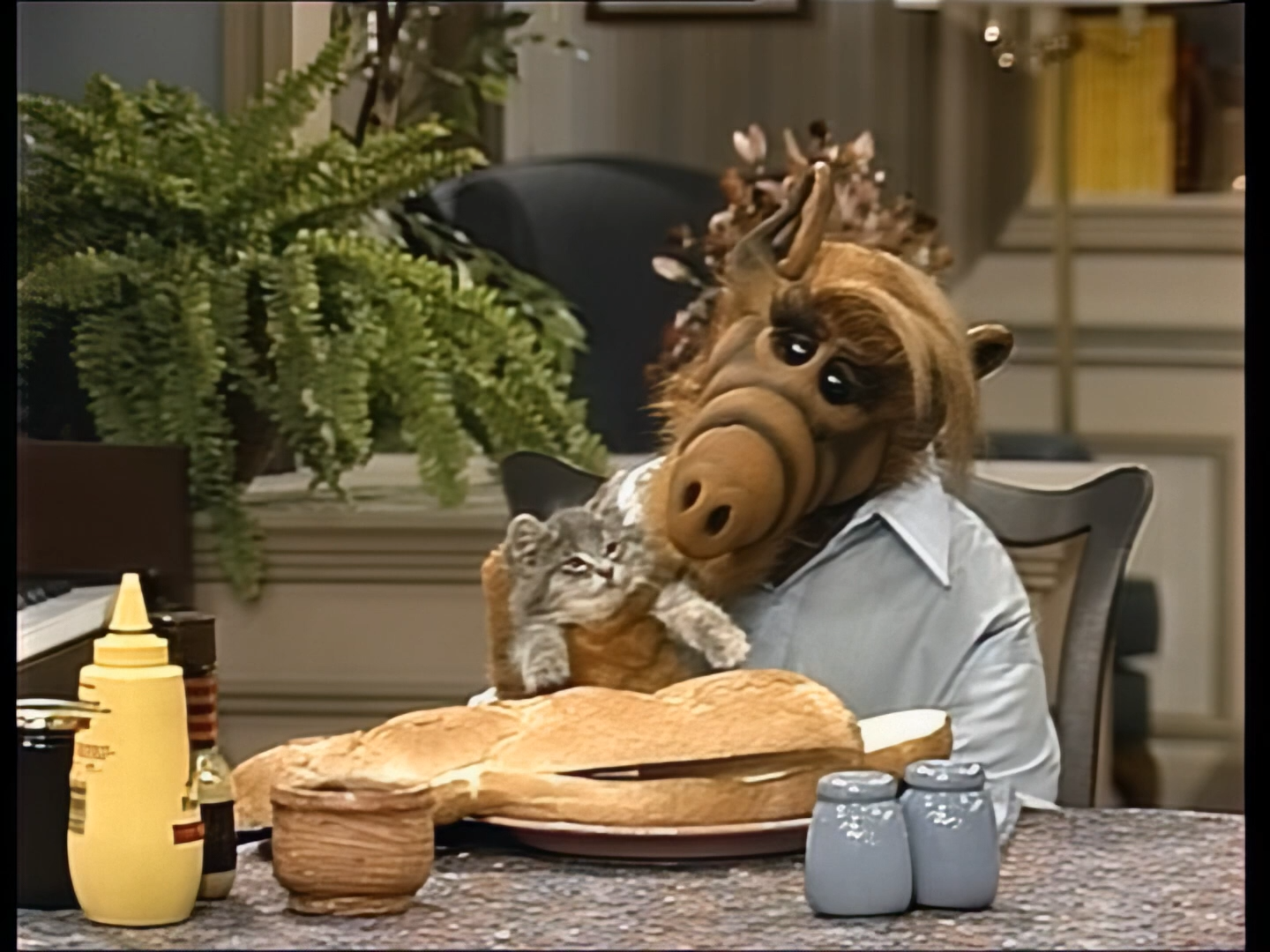 087 (S4E09) - Альф - кошатник 1080.mkv_snapshot_09.06.040.png