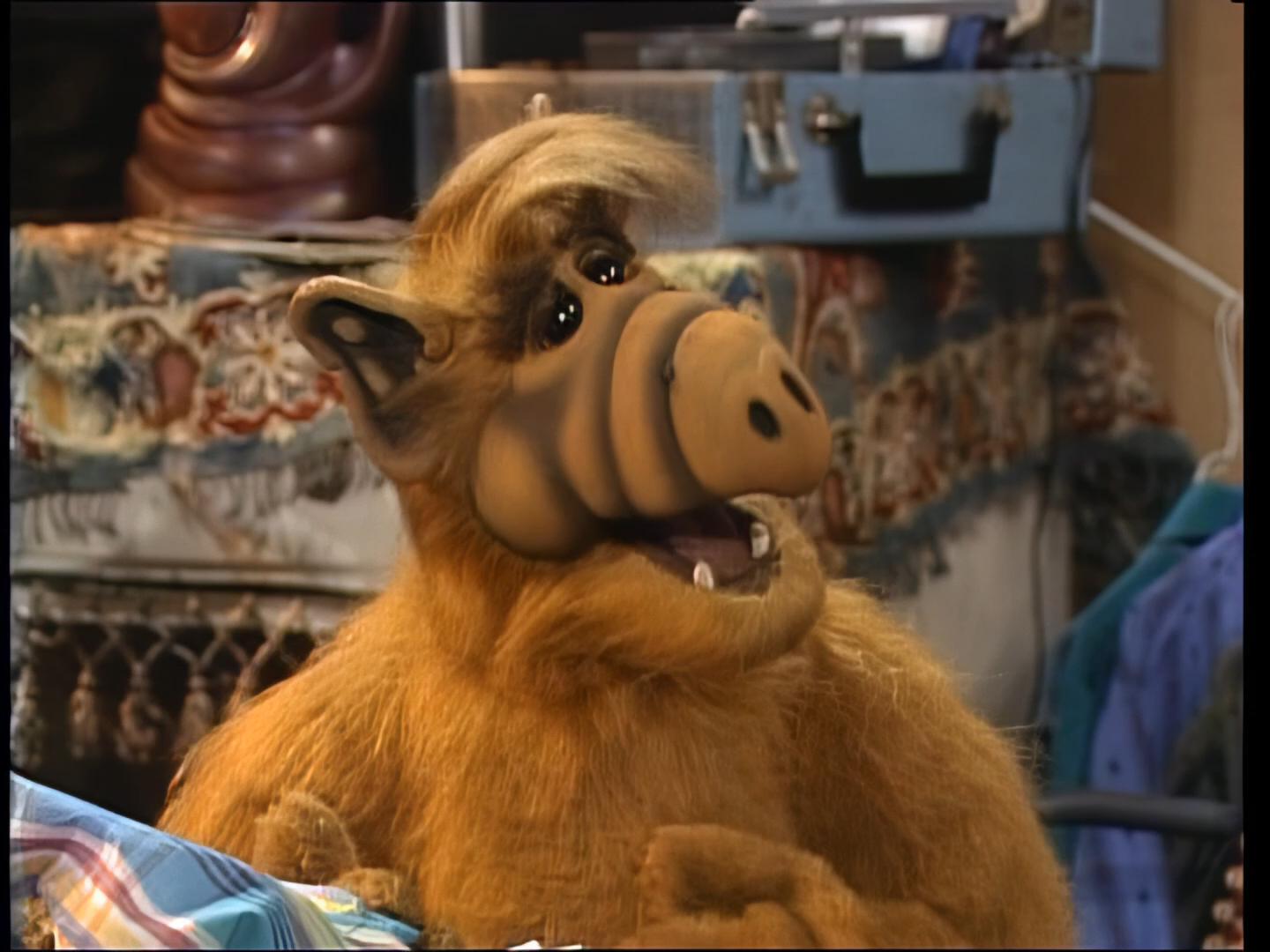 086 (S4E08) - Альф знакомится с Нилом 1080.mkv_snapshot_15.31.040.png