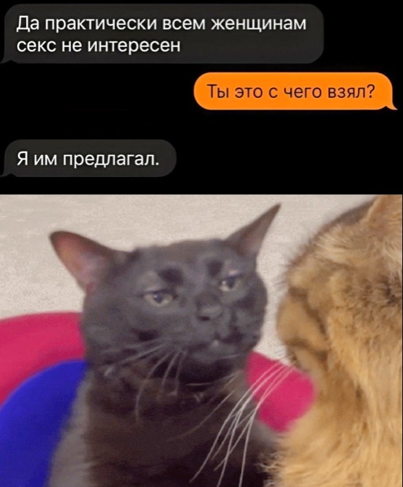 11795fe6bac38d33a222bb06b88f82da.jpeg
