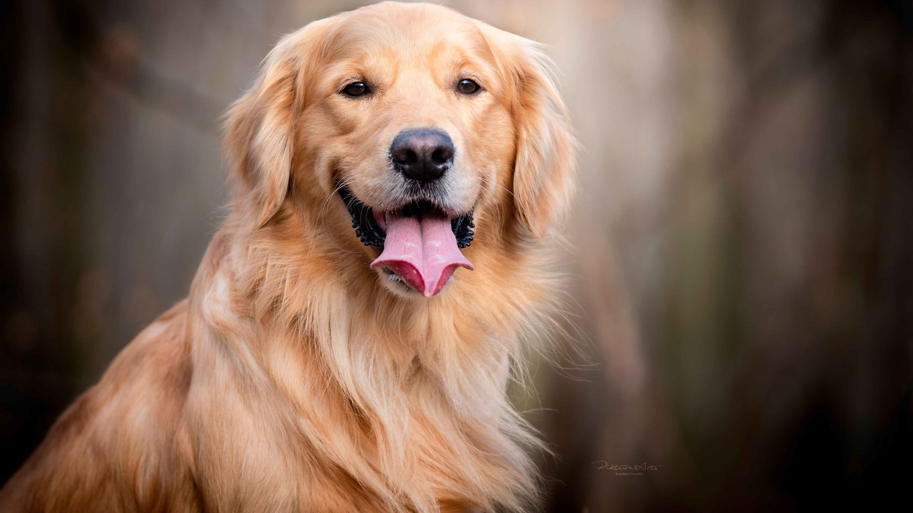 Клик для увеличения