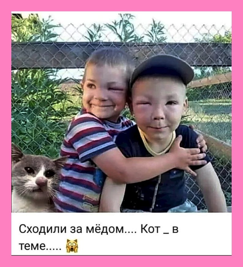 https://i3.imageban.ru/out/2025/10/06/250ef0d9c11c85a84f6bfc133f228449.jpg