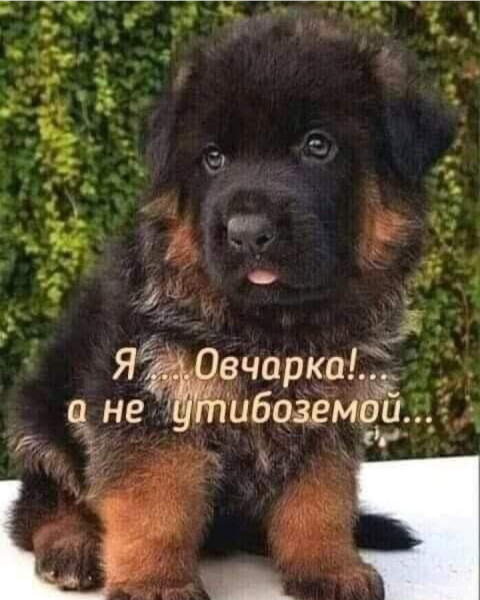 1757262184.jpg