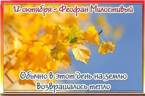 https://i3.imageban.ru/out/2025/10/12/f4d5b11bf629ab8c3c6981b092e39a37.jpeg