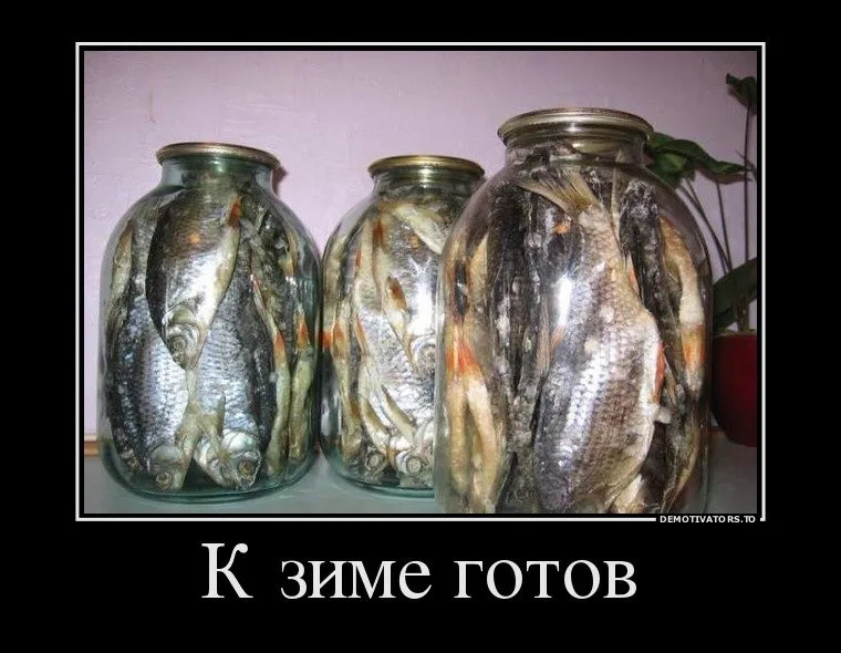 https://i3.imageban.ru/out/2025/10/20/73d7a9580fe032aef9b9d53f8bcc3fdc.webp