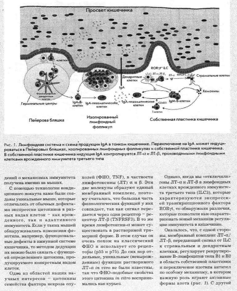 https://i3.imageban.ru/out/2025/10/20/eacebdf92d9a39e8bc9140959265b348.jpg
