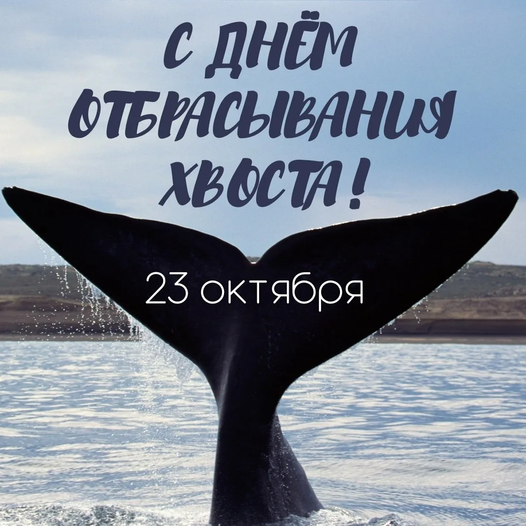 https://i3.imageban.ru/out/2025/10/23/b4ea90a23f3f7c8cc3fd3aee557c7b34.webp