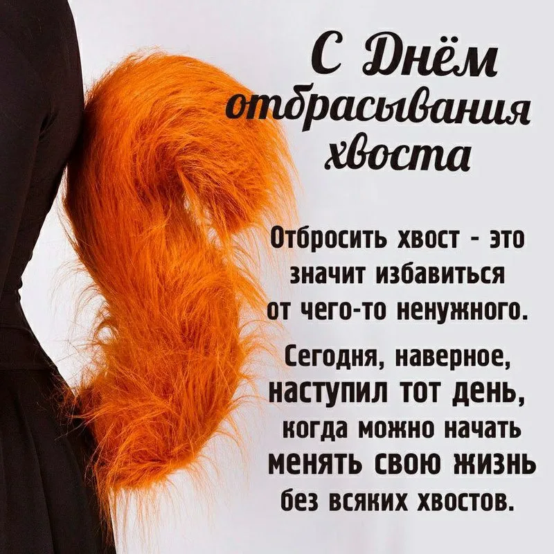 https://i3.imageban.ru/out/2025/10/23/dc808bc2a1eb988919bb1981dbe70652.webp