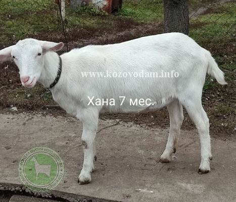 Хана 2 людмила 65.jpg