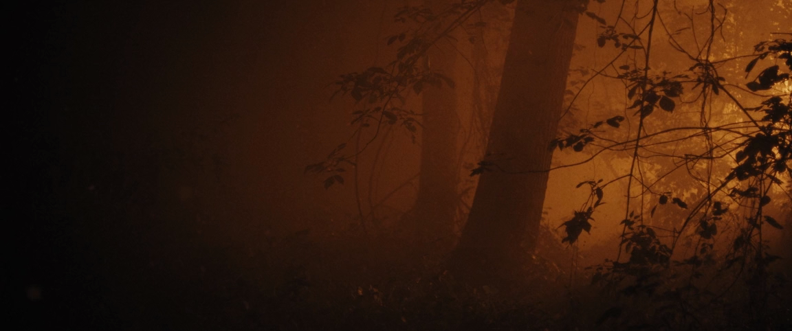 Племя чужих (2025) WEB-DLRip-AVC_ivanes.mkv_20251124_143458.889.png