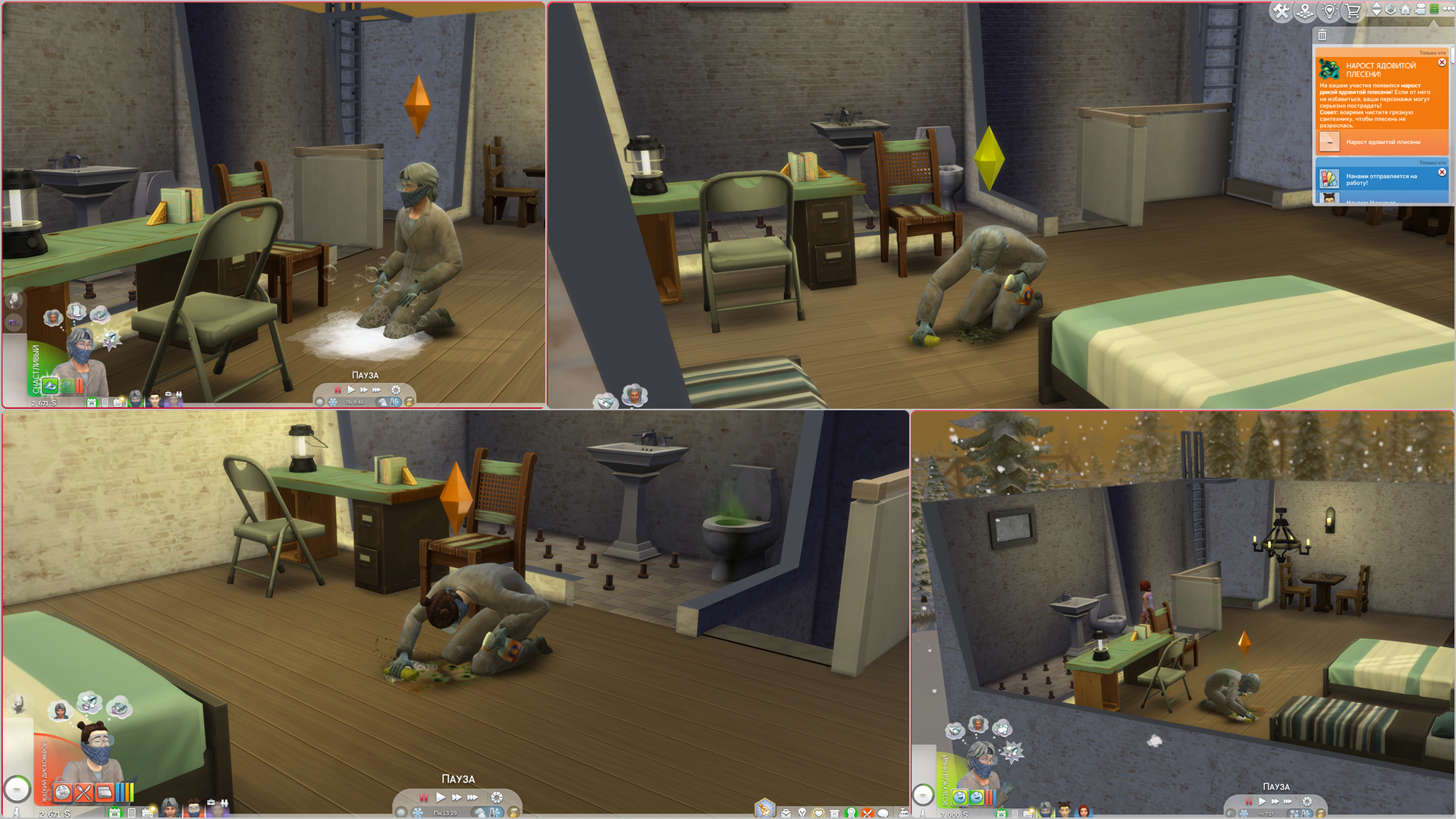 1_13_1-7 плесень.png