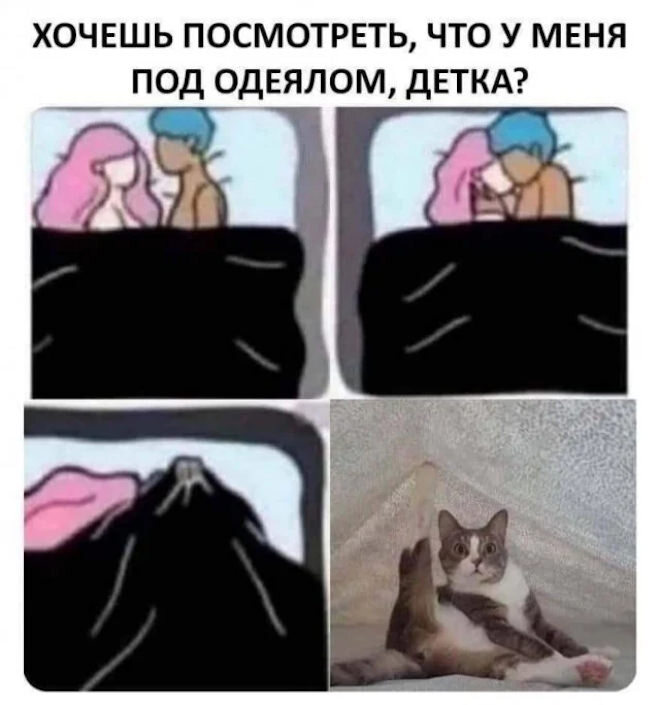 fc2b163e2802df9b0e6b58a62c4b77d4.jpeg