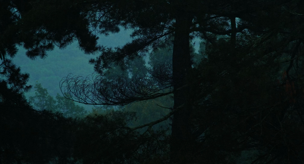 Хорошенькая (2024) WEB-DLRip-AVC_ivanes.mkv_20251129_185042.027.png