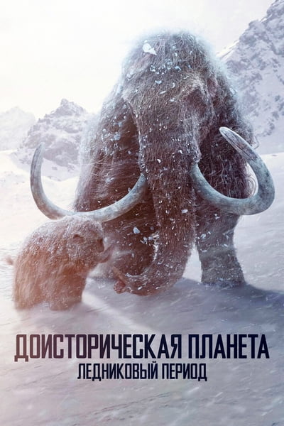 Cover.jpg