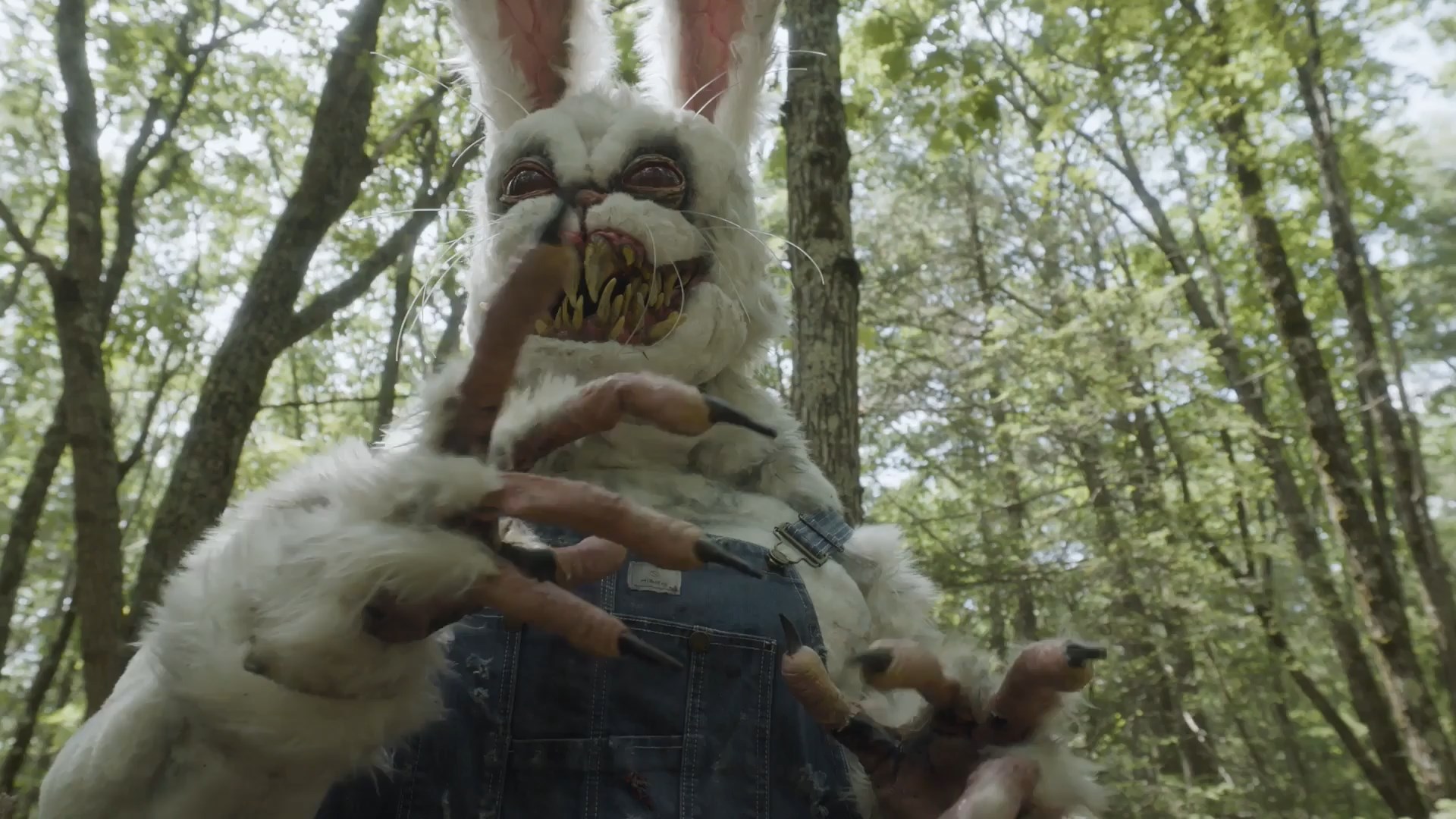 Bad Bunny 2025.mkv_snapshot_00.59.55.700.jpg