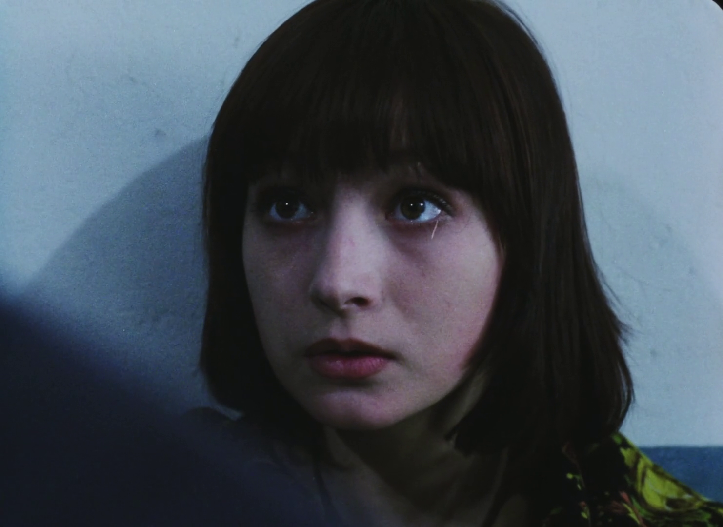 vlcsnap-2026-01-01-23h11m31s659.png