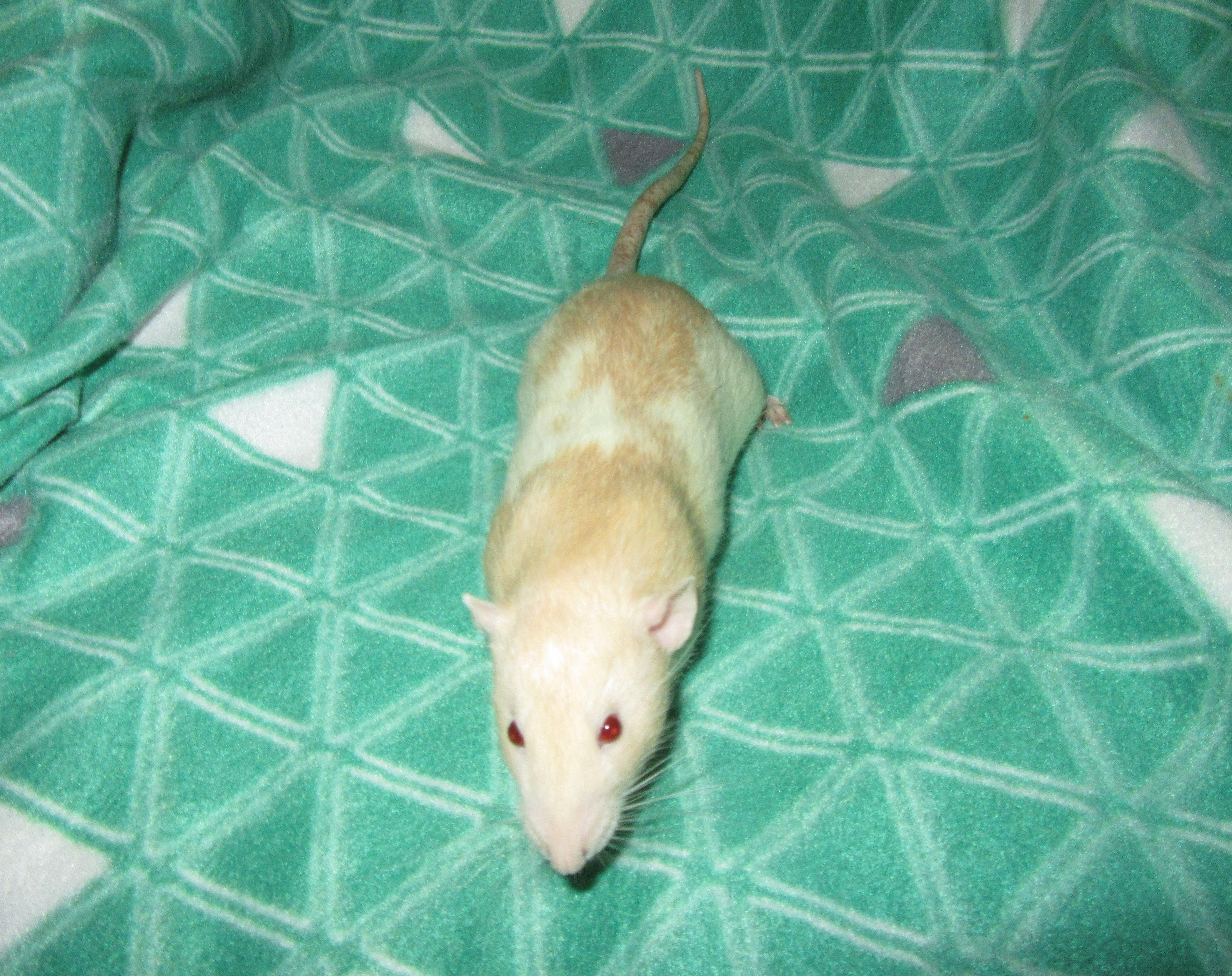 L4 Костя 05.jpg