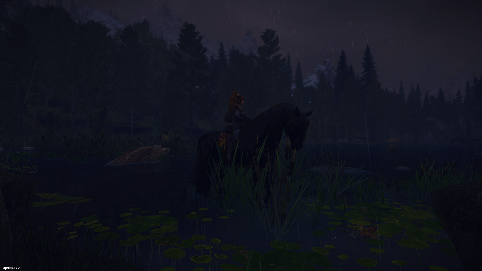 The Elder Scrolls V  Skyrim Special Edition Screenshot 2026.01.12 - 00.08.34.35.png