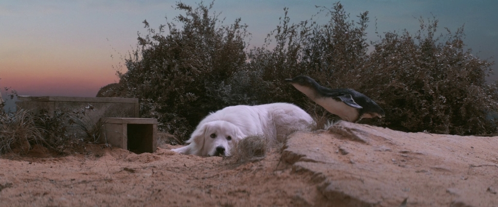 По кличке Чудак.2015.BDRip AVC msltel.mkv_snapshot_00.40.25.762.jpg