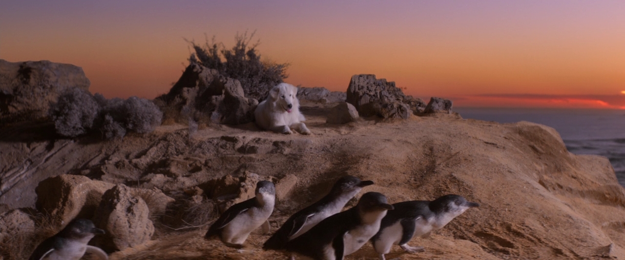 По кличке Чудак.2015.BDRip 720p msltel.mkv_snapshot_01.27.27.660.jpg