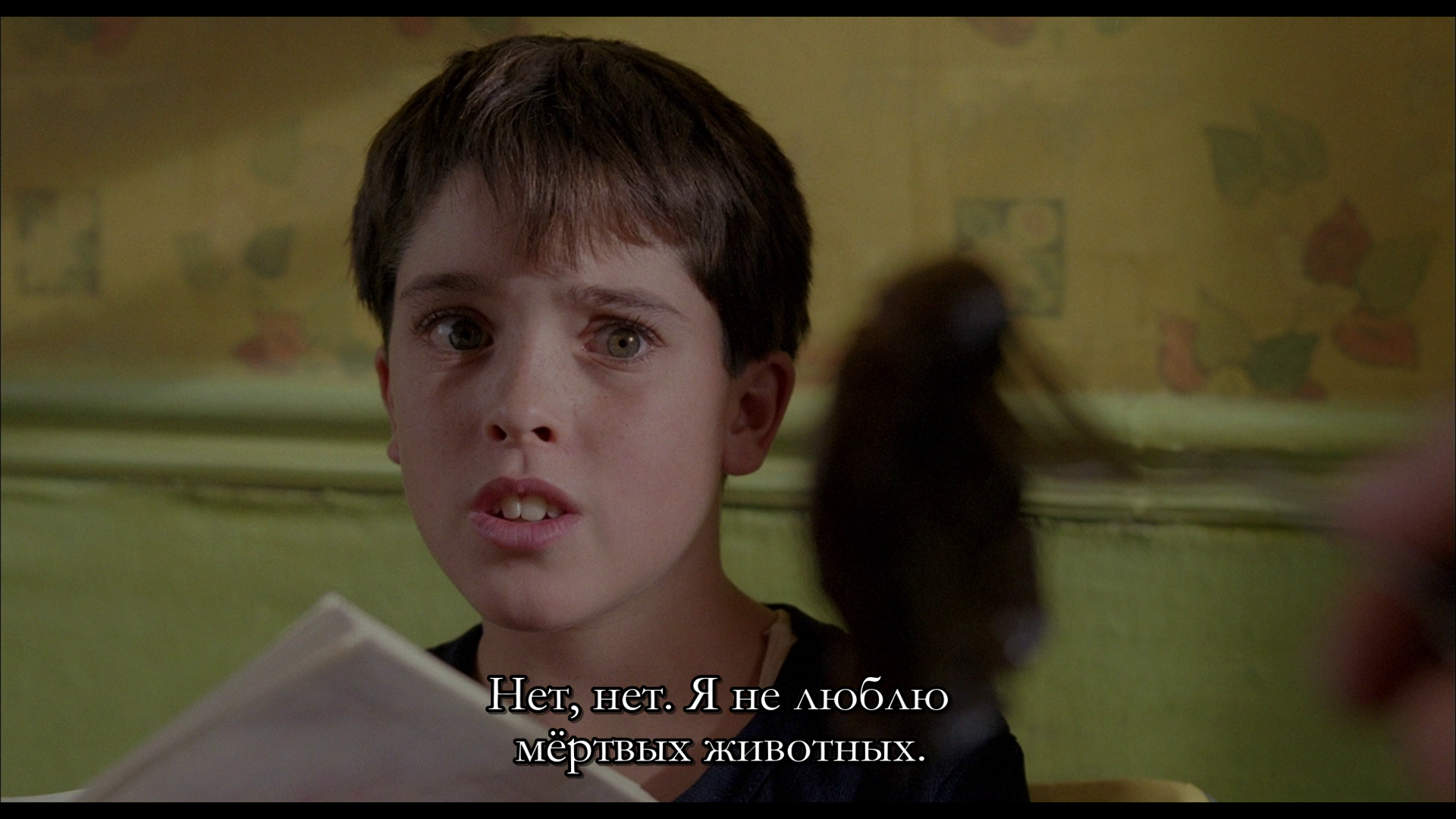 vlcsnap-2026-01-31-19h26m59s125.png